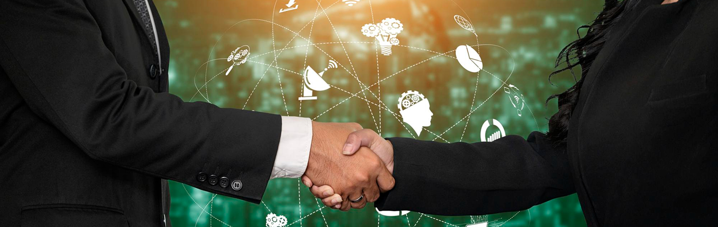 Partnership and Shareholders